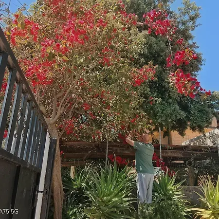 2 / Casa Marley Porto Pollo Διαμέρισμα Barrabisa